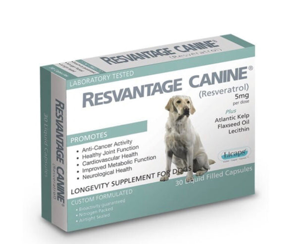 Resvantage For Dogs 30 Caps
